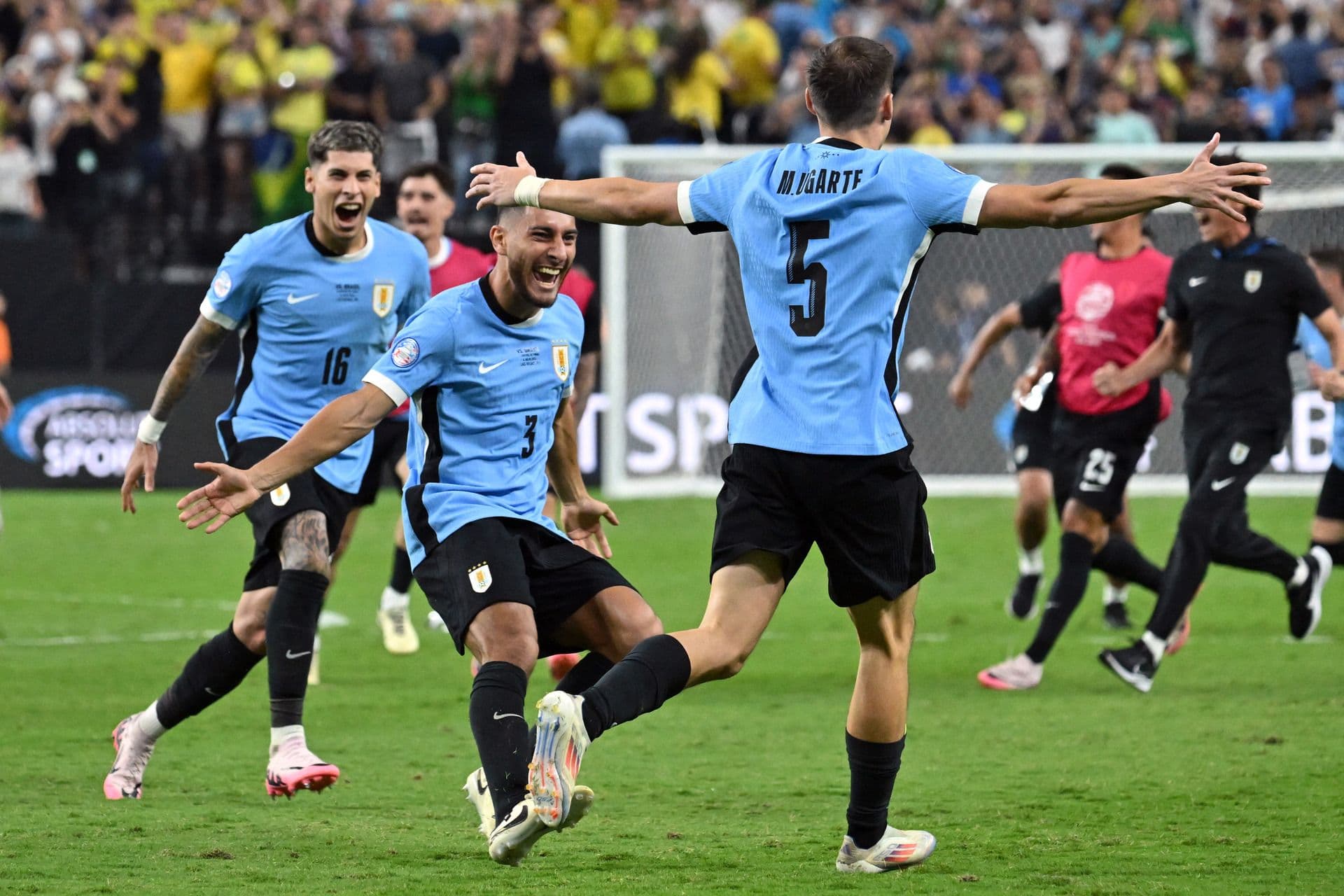 CONMEBOL Copa América™